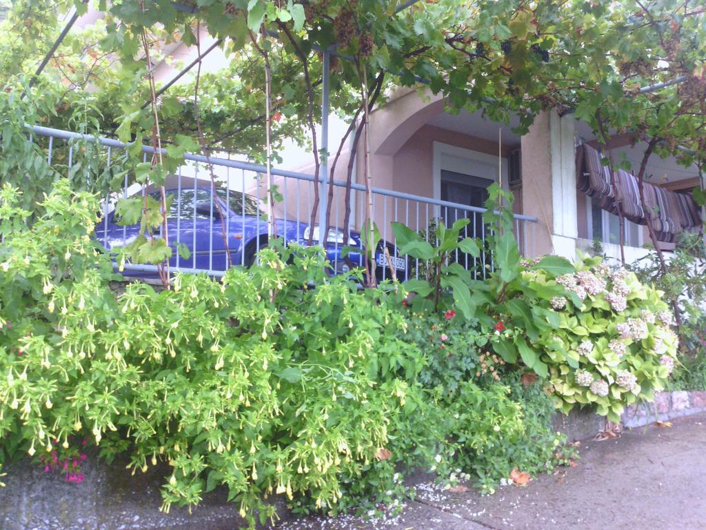 Apartments Mitrovic Podlicak Sveti Stefan Dış mekan fotoğraf